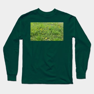 Spring grass, flowers, nature photo Long Sleeve T-Shirt